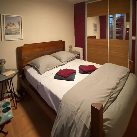 Apartment A 150 Pas Du Capitole! Toulouse