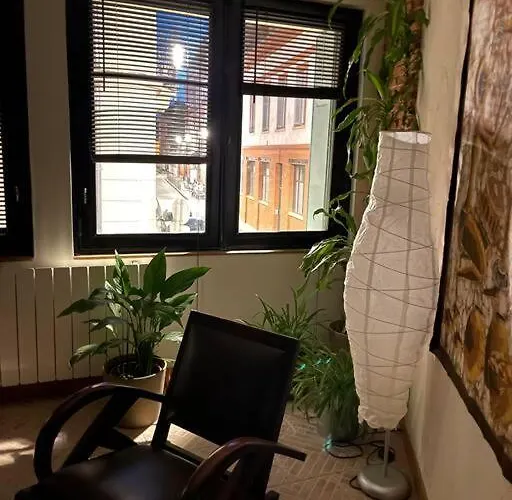 A 150 Pas Du Capitole! Apartman *